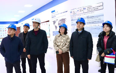 陽(yáng)光電源股份、宜賓智能制造行業(yè)協(xié)會(huì)、宜賓安徽商會(huì)調(diào)研遠(yuǎn)東電纜（宜賓）